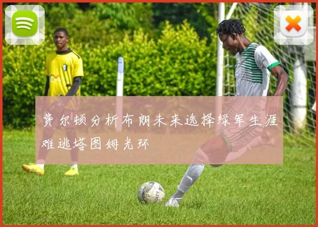 费尔顿分析布朗未来选择绿军生涯难逃塔图姆光环
